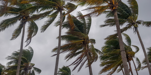 Hurricane Milton Landfall: Trancy Immersive Translate CNN 24-10-10