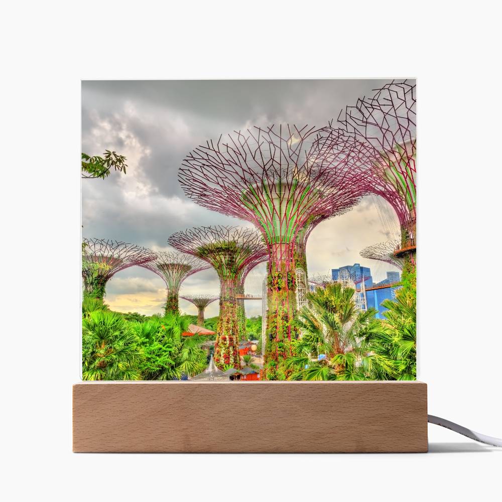 Gardens By The Bay Acrylic Plaque | Singapore Vacation Keepsake