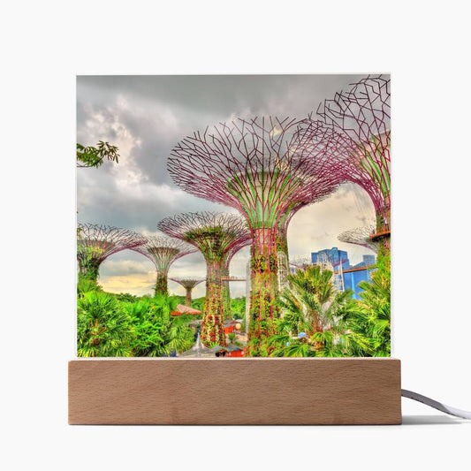 Gardens By The Bay Acrylic Plaque | Singapore Vacation Keepsake