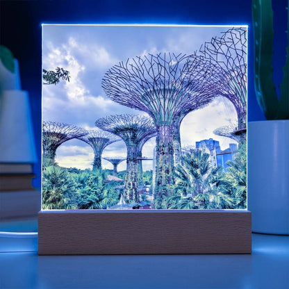 Gardens By The Bay Acrylic Plaque | Singapore Vacation Keepsake