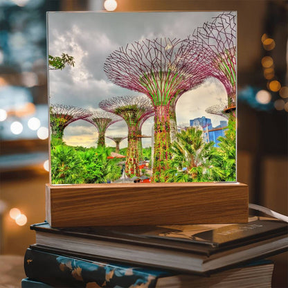 Gardens By The Bay Acrylic Plaque | Singapore Vacation Keepsake