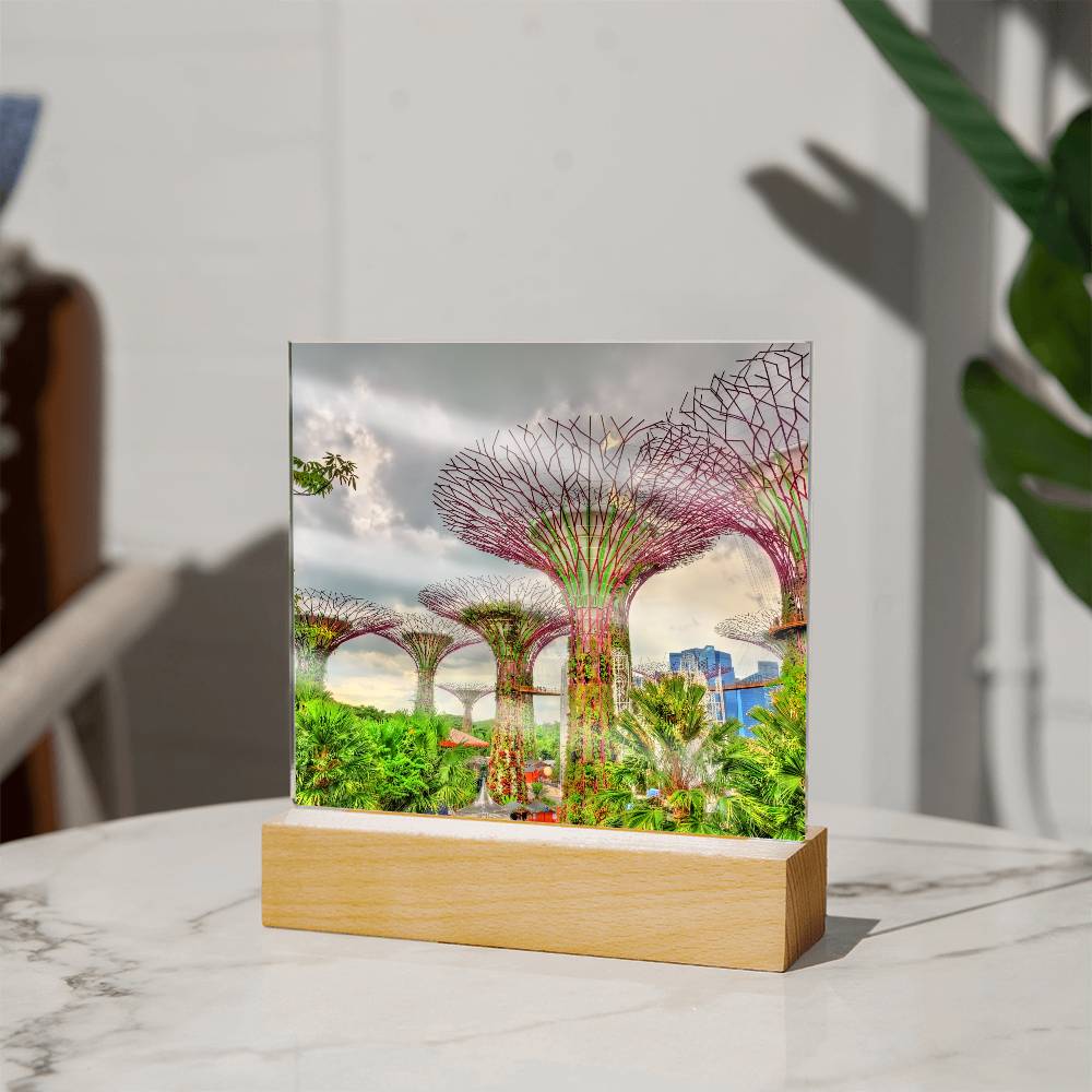 Gardens By The Bay Acrylic Plaque | Singapore Vacation Keepsake