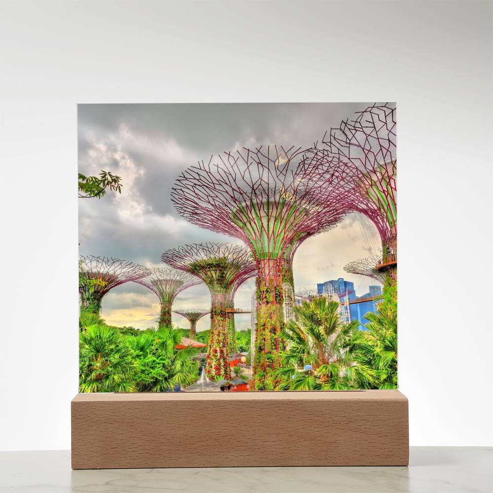 Gardens By The Bay Acrylic Plaque | Singapore Vacation Keepsake