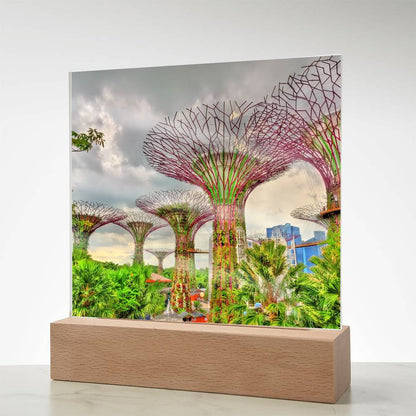 Gardens By The Bay Acrylic Plaque | Singapore Vacation Keepsake