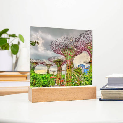 Gardens By The Bay Acrylic Plaque | Singapore Vacation Keepsake