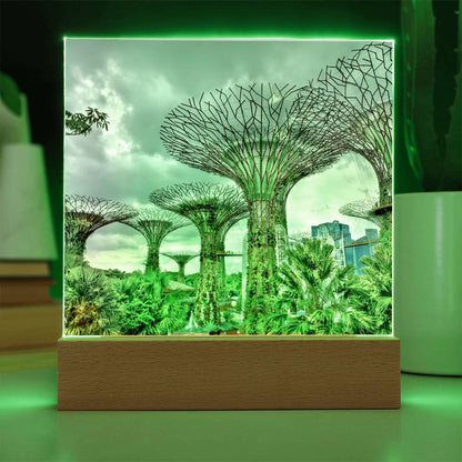 Gardens By The Bay Acrylic Plaque | Singapore Vacation Keepsake