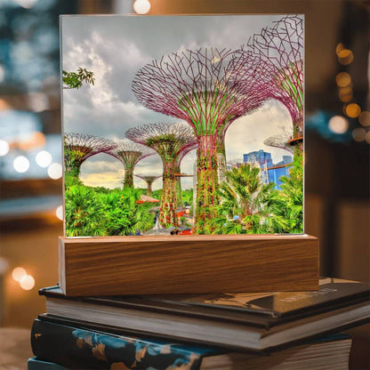 Gardens By The Bay Acrylic Plaque | Singapore Vacation Keepsake