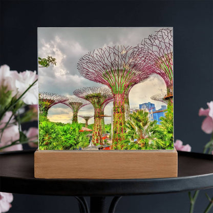 Gardens By The Bay Acrylic Plaque | Singapore Vacation Keepsake