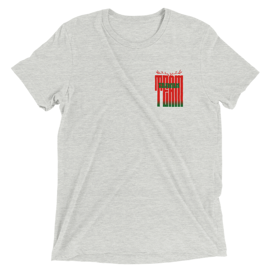 Team Taiwan Merry Xmas | Triblend Unisex Crewneck T-shirt